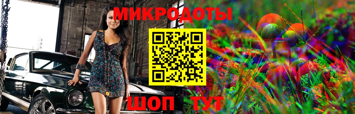 Тавда  Псилоцибиновые грибы мицелий  Вход с VPN 